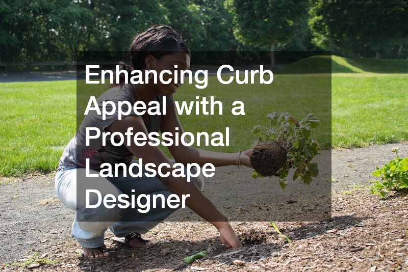 Enhancing Curb Appeal with a Professional Landscape Designer