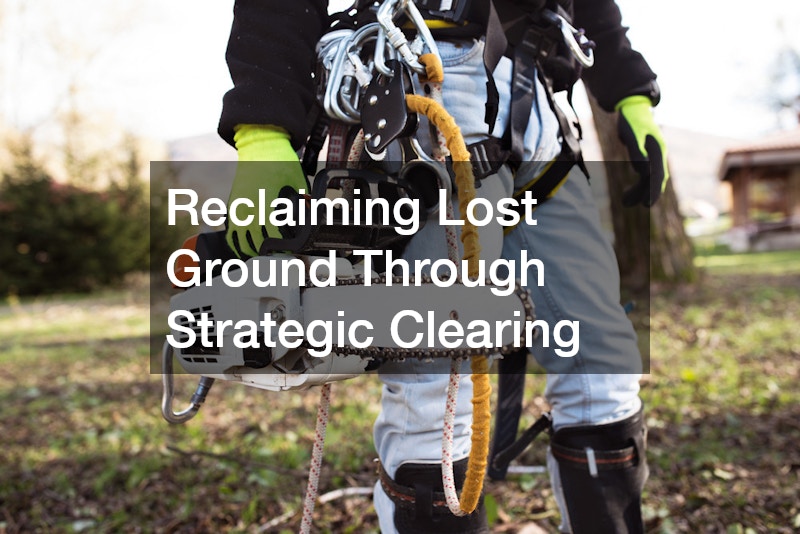 Reclaiming Lost Ground Through Strategic Clearing