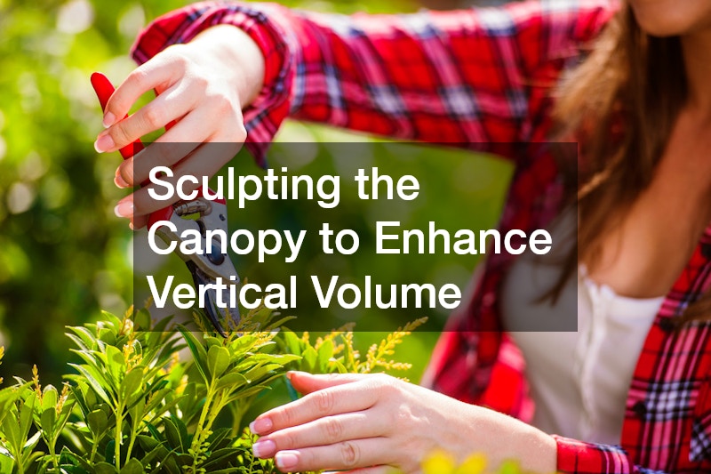 Sculpting the Canopy to Enhance Vertical Volume