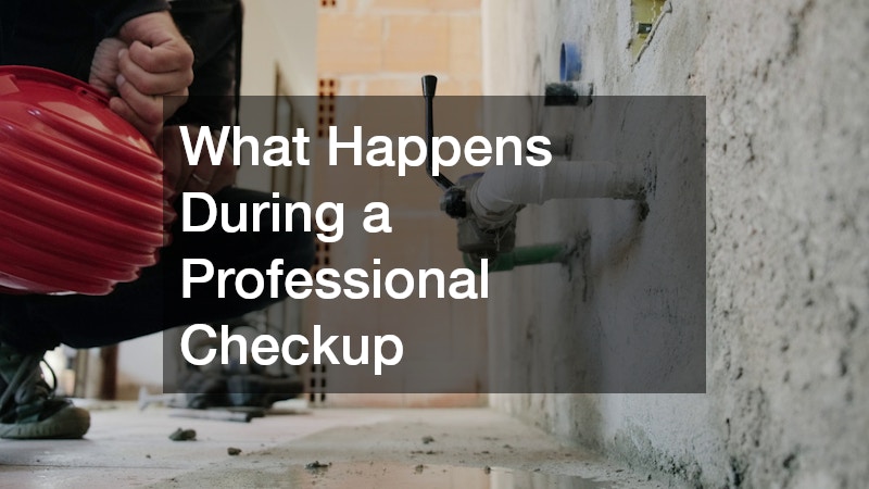 What Happens During a Professional Checkup