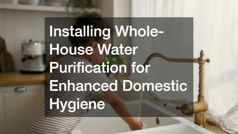 Installing Whole-House Water Purification for Enhanced Domestic Hygiene