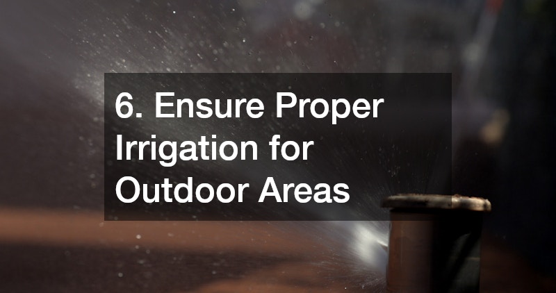 6. Ensure Proper Irrigation for Outdoor Areas
