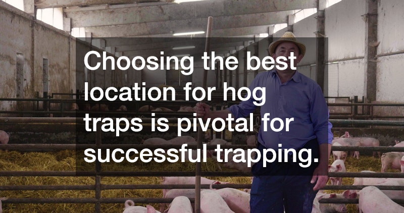 Choosing the best location for hog traps is pivotal for successful trapping.
