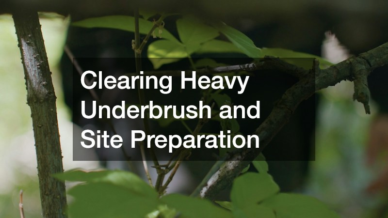 Clearing Heavy Underbrush and Site Preparation