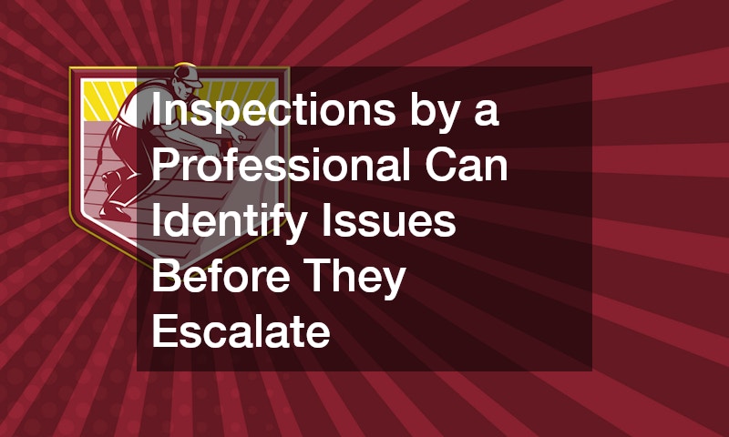 Inspections by a Professional Can Identify Issues Before They Escalate