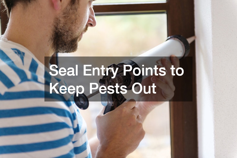 Seal Entry Points to Keep Pests Out