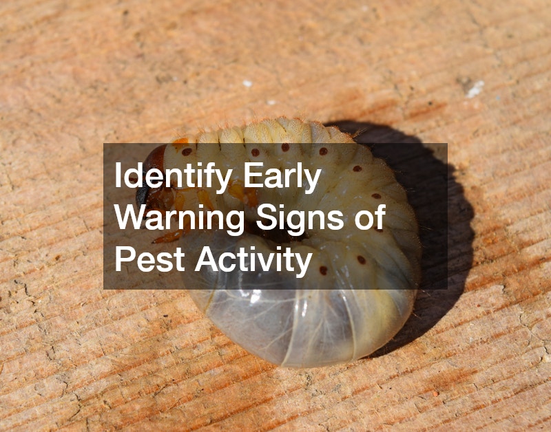 Identify Early Warning Signs of Pest Activity