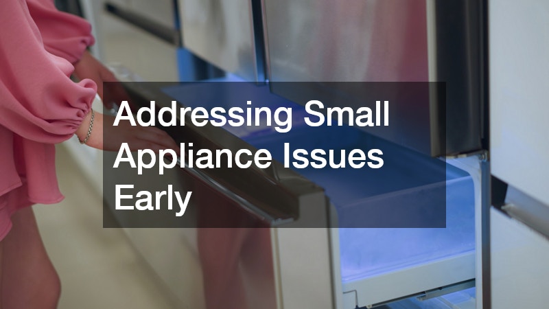 Addressing Small Appliance Issues Early