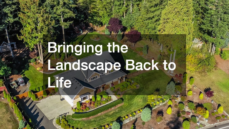 Bringing the Landscape Back to Life