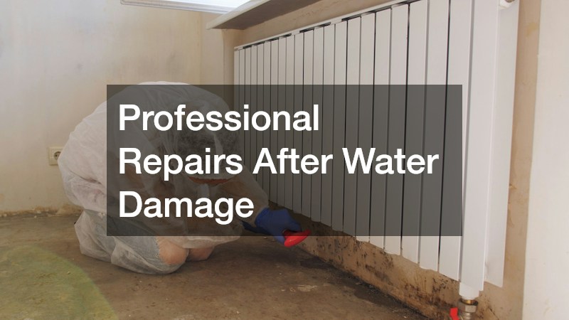 Professional Repairs After Water Damage