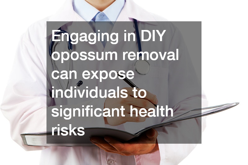 Engaging in DIY opossum removal can expose individuals to significant health risks
