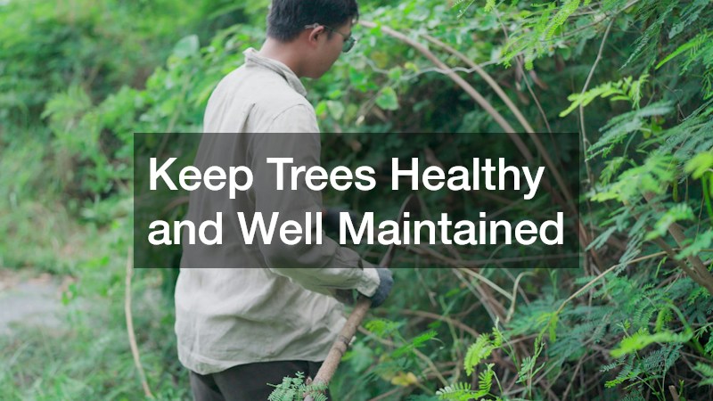 Keep Trees Healthy and Well Maintained