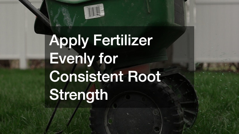 Apply Fertilizer Evenly for Consistent Root Strength