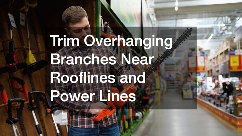 Trim Overhanging Branches Near Rooflines and Power Lines