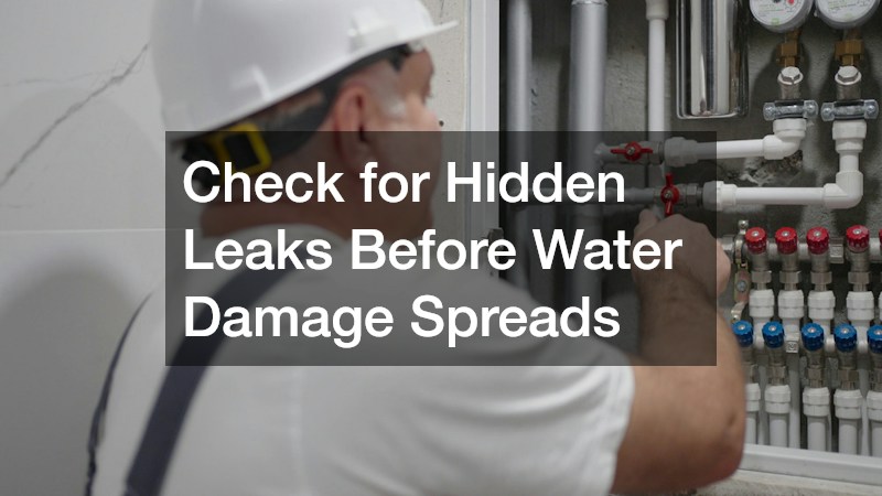 Check for Hidden Leaks Before Water Damage Spreads