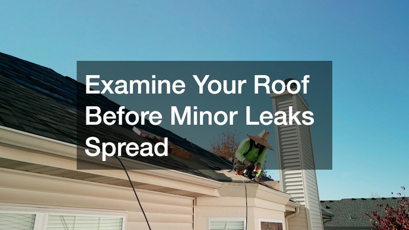 Examine Your Roof Before Minor Leaks Spread