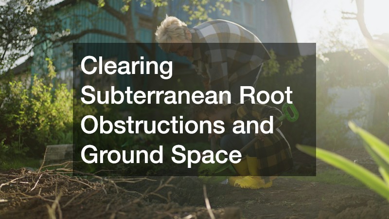 Clearing Subterranean Root Obstructions and Ground Space
