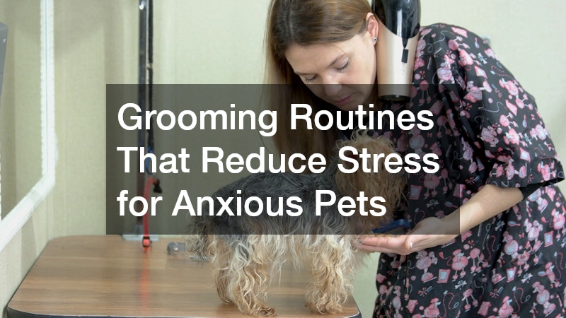 Grooming Routines That Reduce Stress for Anxious Pets