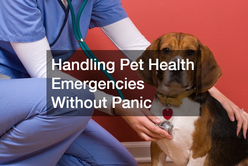 Handling Pet Health Emergencies Without Panic