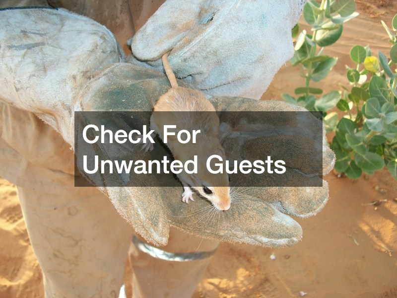 Check For Unwanted Guests