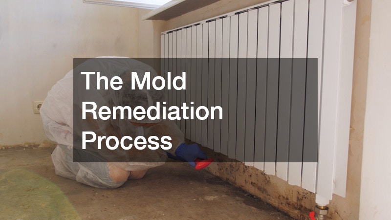 The Mold Remediation Process