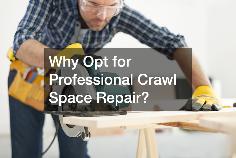 Why Opt for Professional Crawl Space Repair?