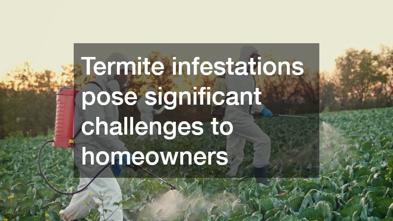 Termite infestations pose significant challenges to homeowners