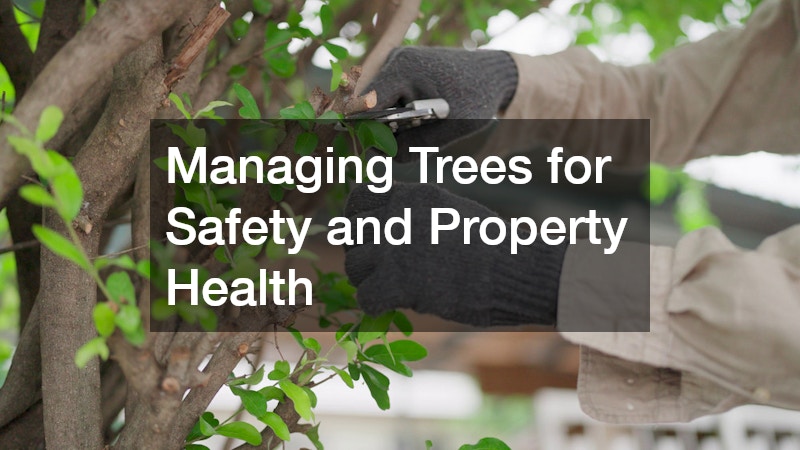 Managing Trees for Safety and Property Health