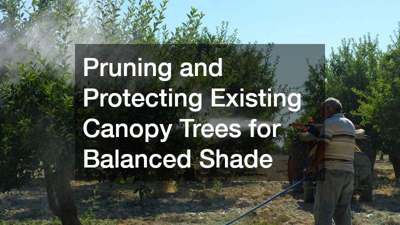 Pruning and Protecting Existing Canopy Trees for Balanced Shade