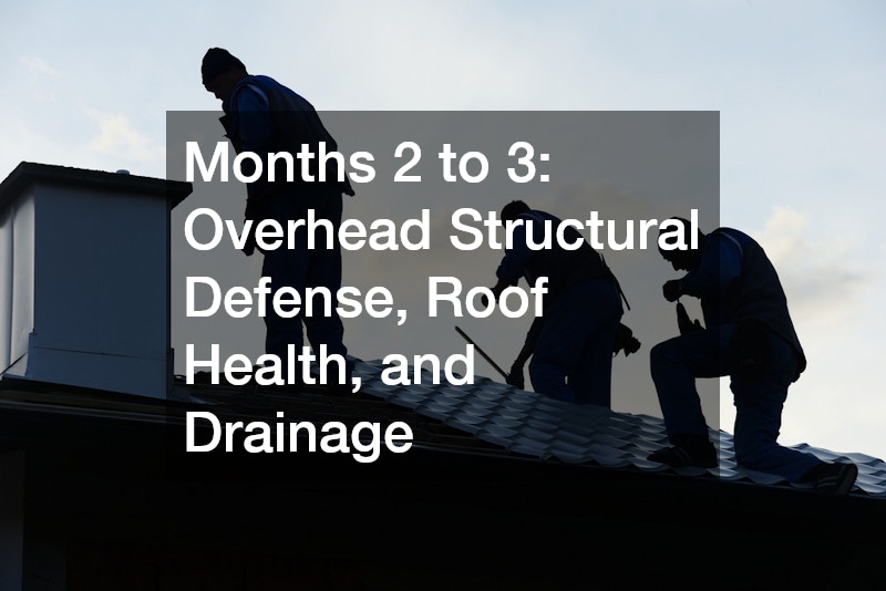 Months 2 to 3: Overhead Structural Defense, Roof Health, and Drainage