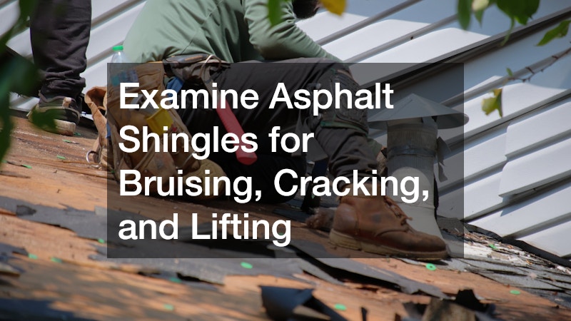 Examine Asphalt Shingles for Bruising, Cracking, and Lifting