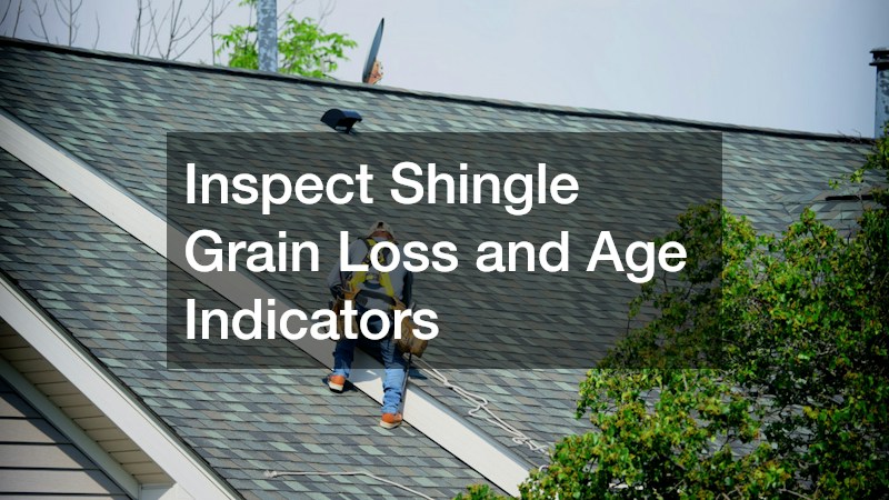 Inspect Shingle Grain Loss and Age Indicators