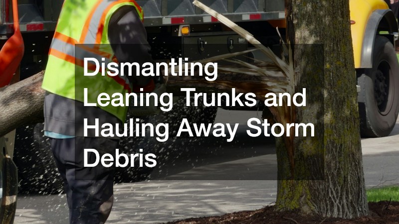 Dismantling Leaning Trunks and Hauling Away Storm Debris