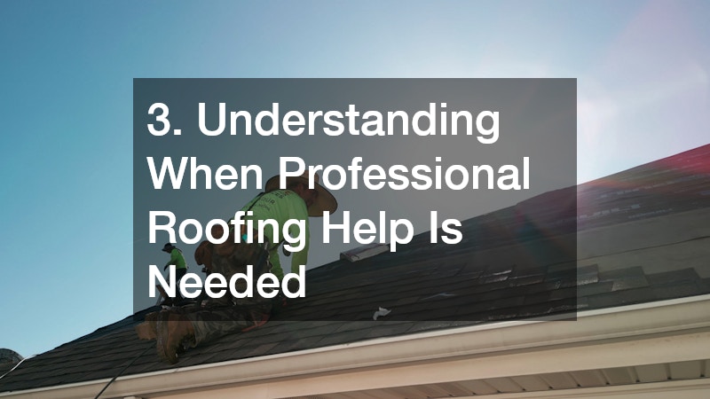 3. Understanding When Professional Roofing Help Is Needed