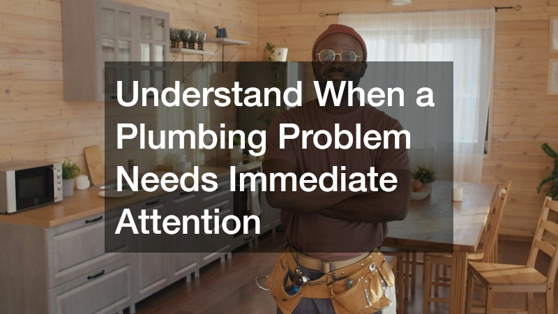 Understand When a Plumbing Problem Needs Immediate Attention