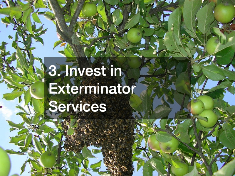3. Invest in Exterminator Services