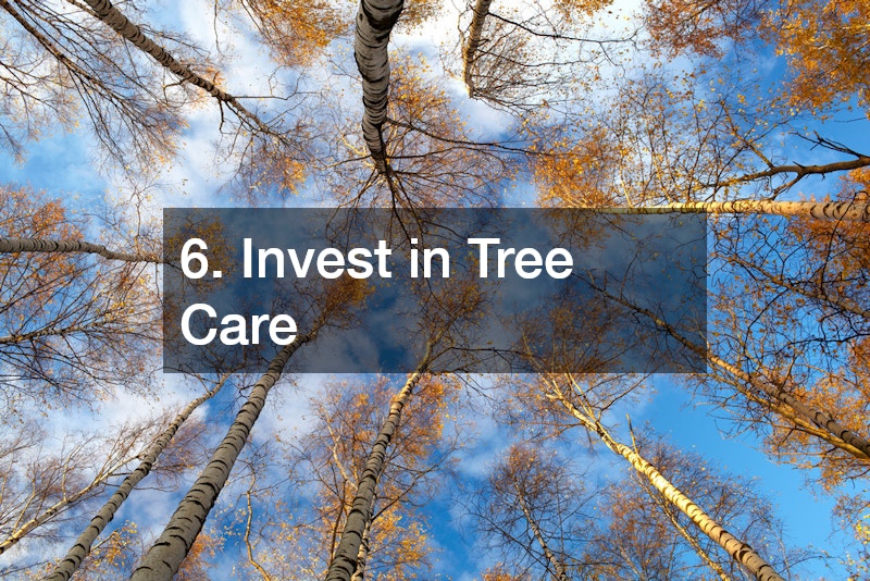 6. Invest in Tree Care