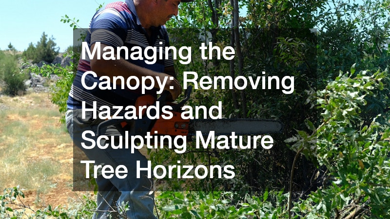 Managing the Canopy: Removing Hazards and Sculpting Mature Tree Horizons