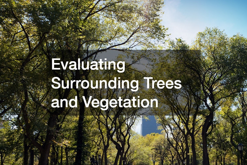 Evaluating Surrounding Trees and Vegetation