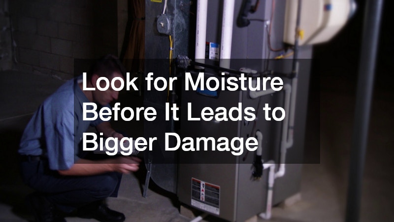 Look for Moisture Before It Leads to Bigger Damage