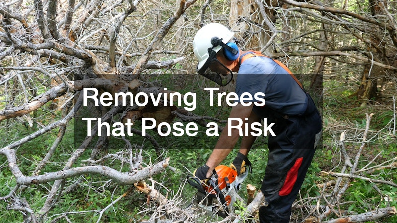 Removing Trees That Pose a Risk