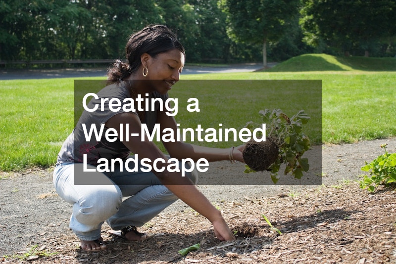 Creating a Well-Maintained Landscape