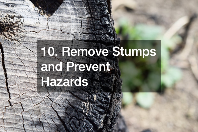 10. Remove Stumps and Prevent Hazards