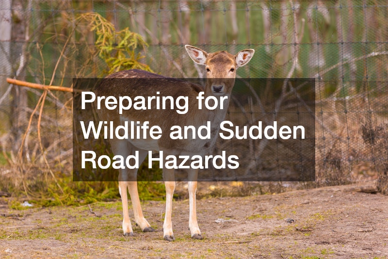 Preparing for Wildlife and Sudden Road Hazards