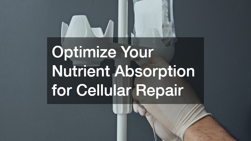 Optimize Your Nutrient Absorption for Cellular Repair