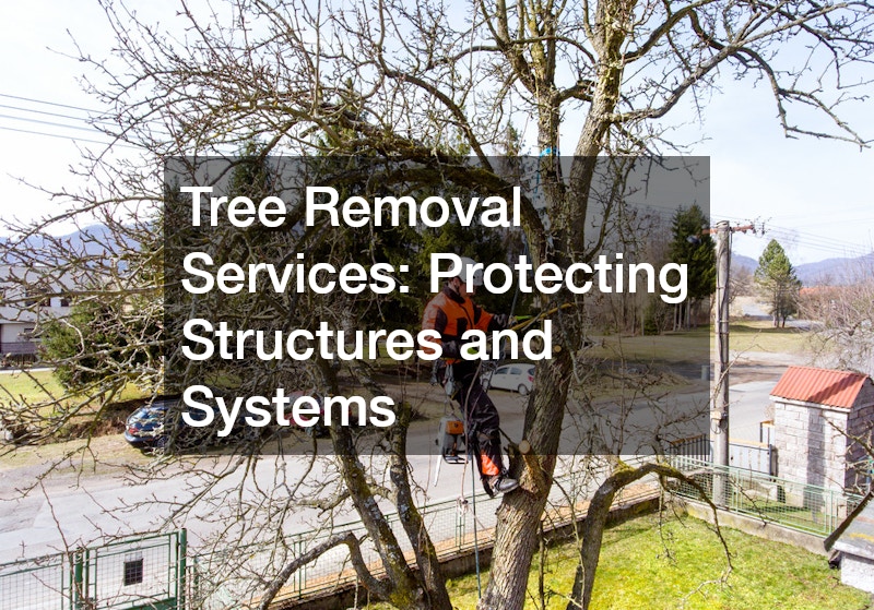 Tree Removal Services: Protecting Structures and Systems
