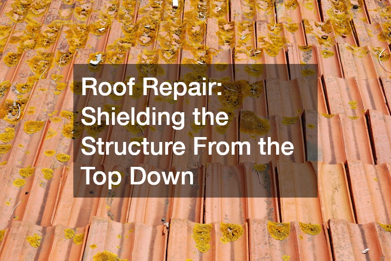 Roof Repair: Shielding the Structure From the Top Down