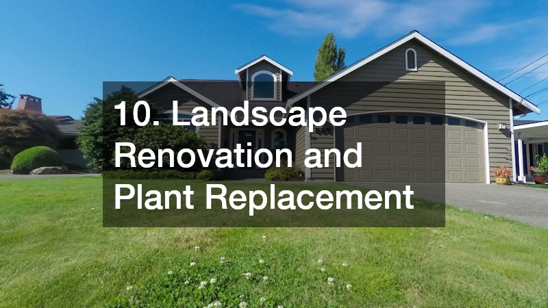 10. Landscape Renovation and Plant Replacement
