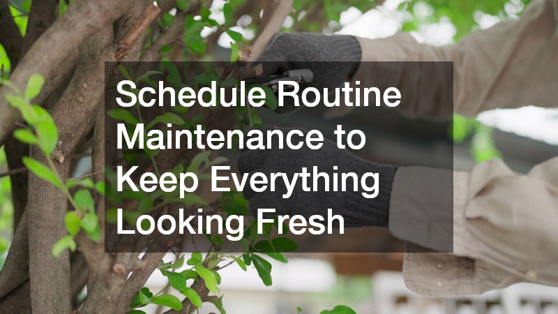 Schedule Routine Maintenance to Keep Everything Looking Fresh