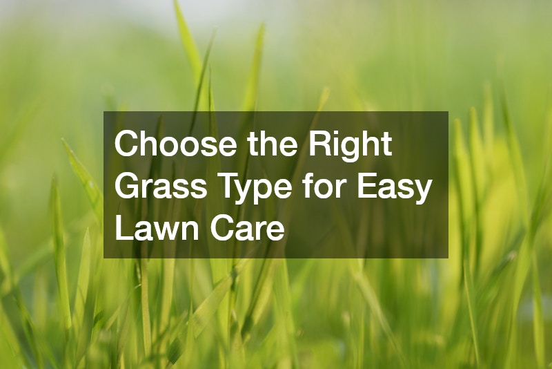 Choose the Right Grass Type for Easy Lawn Care